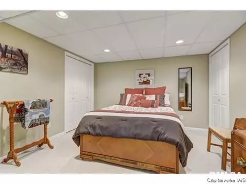 216 Willow Ln, Springfield, IL 62707 photo 13