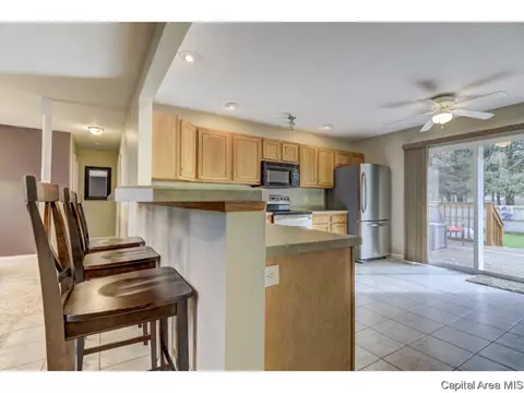 216 Willow Ln, Springfield, IL 62707 photo 28