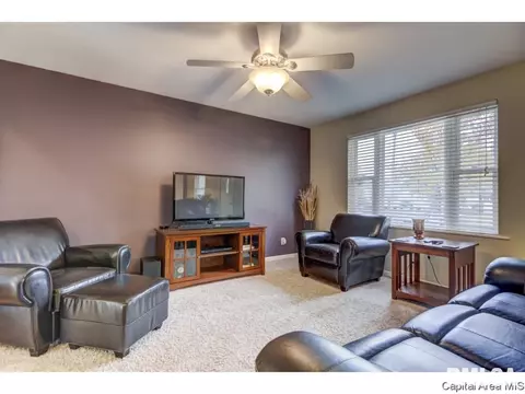 216 Willow Ln, Springfield, IL 62707 photo 33