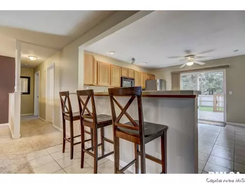 216 Willow Ln, Springfield, IL 62707 photo 29