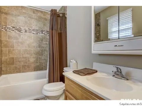216 Willow Ln, Springfield, IL 62707 photo 36
