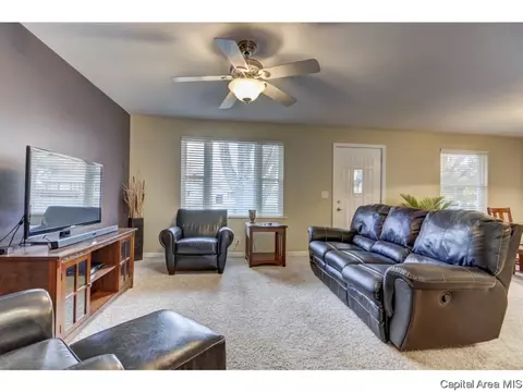216 Willow Ln, Springfield, IL 62707 photo 32