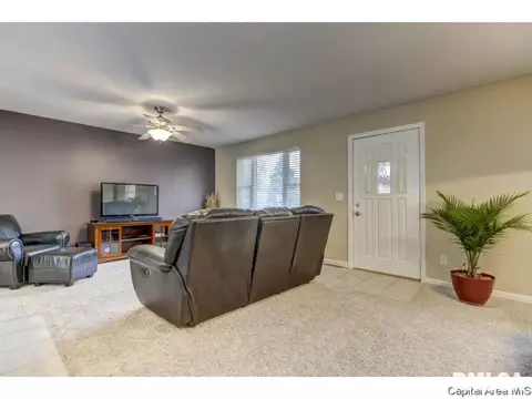 216 Willow Ln, Springfield, IL 62707 photo 31