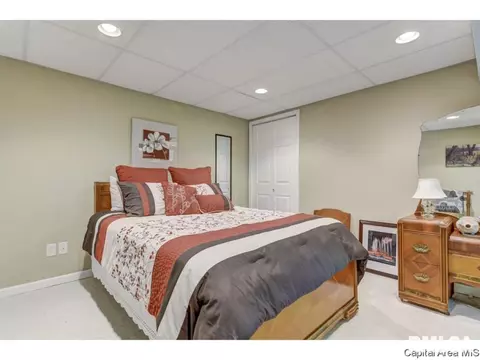 216 Willow Ln, Springfield, IL 62707 photo 14