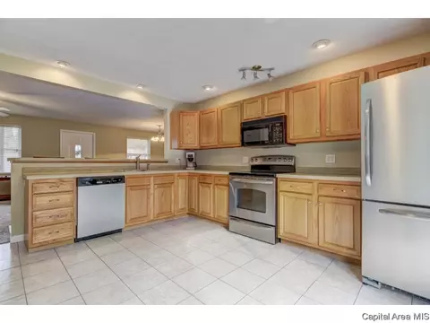 216 Willow Ln, Springfield, IL 62707 photo 26