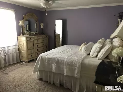 3605 Chelmsford Ct, Springfield, IL 62704 photo 19