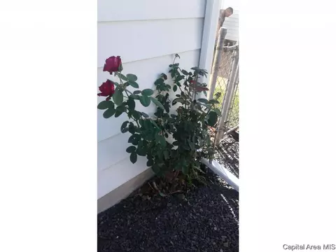 2117 Blackhawk Rd, Springfield, IL 62702 photo 15