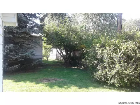 2117 Blackhawk Rd, Springfield, IL 62702 photo 17