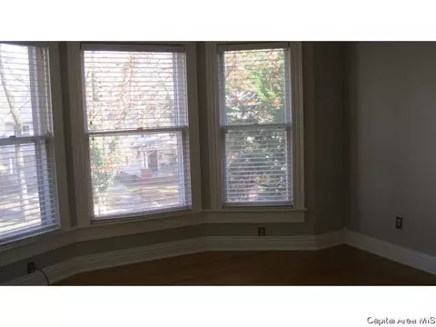855 S Park Ave, Springfield, IL 62704 photo 5