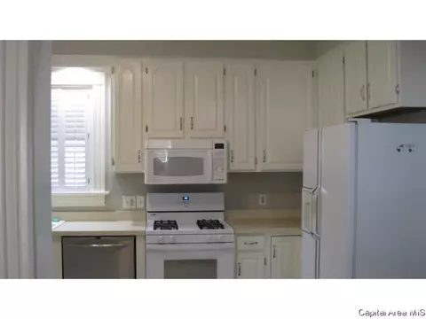 855 S Park Ave, Springfield, IL 62704 photo 7