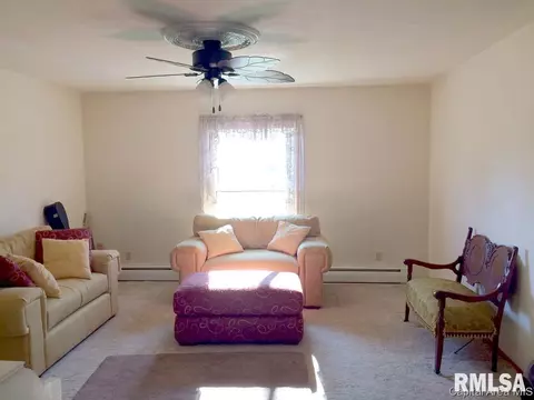 418 E Walnut St, Dawson, IL 62520 photo 10