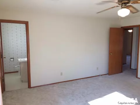 418 E Walnut St, Dawson, IL 62520 photo 29
