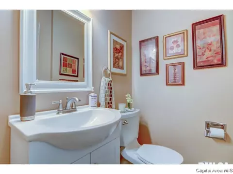2519 Austin Dr, Springfield, IL 62704 photo 30