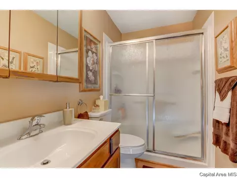 2519 Austin Dr, Springfield, IL 62704 photo 31