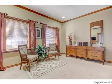 108 Timberridge Dr, Springfield, IL 62702 photo 23