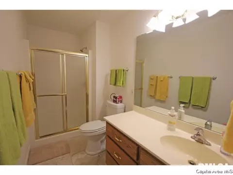 2828 Cronin Dr, Springfield, IL 62711 photo 13