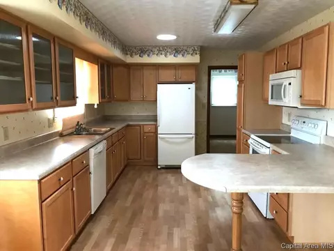 2328 Grinnell Dr, Springfield, IL 62704 photo 5