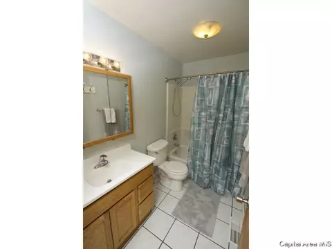 604 E Wood Ave, Springfield, IL 62702 photo 14