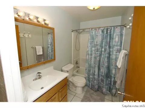 604 E Wood Ave, Springfield, IL 62702 photo 13