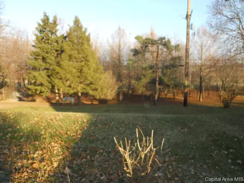 61 Greencastle, Springfield, IL 62712 photo 12