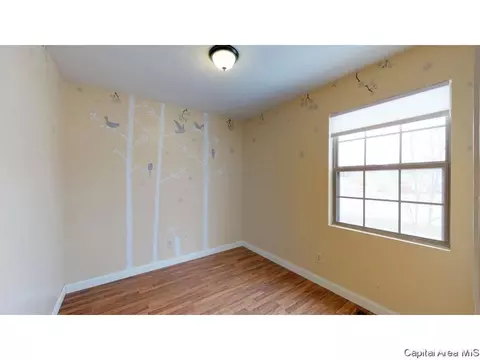 1521 Maureen Ct, Springfield, IL 62702 photo 17