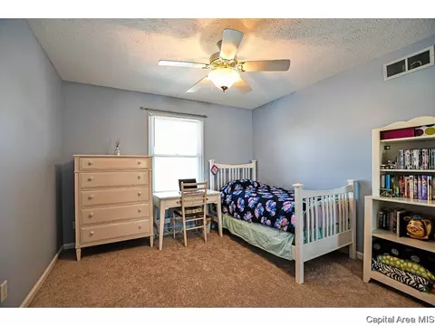 2608 Parsley Ln, Springfield, IL 62711 photo 22