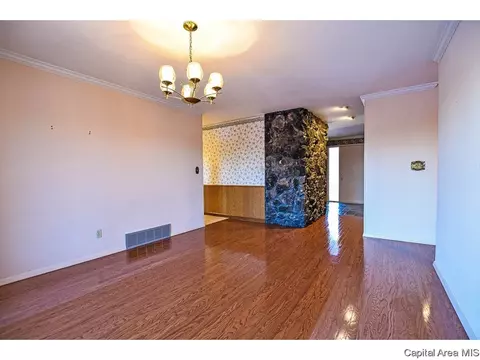 53 Greencastle Cir, Springfield, IL 62712 photo 10