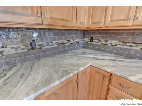 2224 Harbor Lndg, Springfield, IL 62712 photo 16