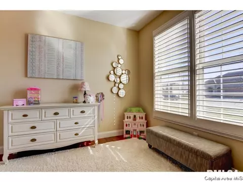 4401 Lynhurst Rd, Springfield, IL 62711 photo 22