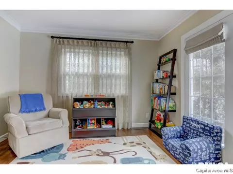 1045 Williams, Springfield, IL 62704 photo 15
