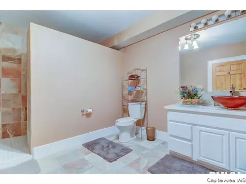 3224 Falcon Pt, Springfield, IL 62711 photo 33
