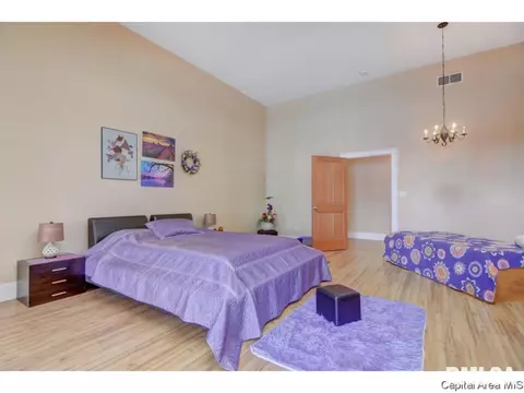 3224 Falcon Pt, Springfield, IL 62711 photo 19