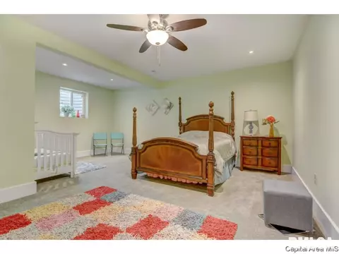 3224 Falcon Pt, Springfield, IL 62711 photo 27
