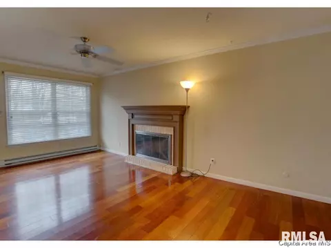 508 Brandywine Rd, Springfield, IL 62704 photo 4