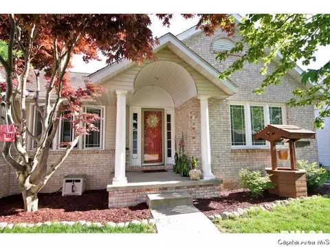 808 Chestnut Ct, Chatham, IL 62629 photo 2