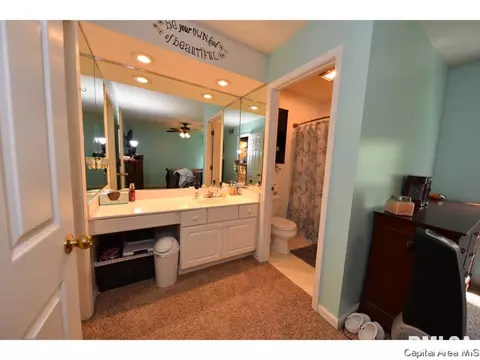 808 Chestnut Ct, Chatham, IL 62629 photo 21