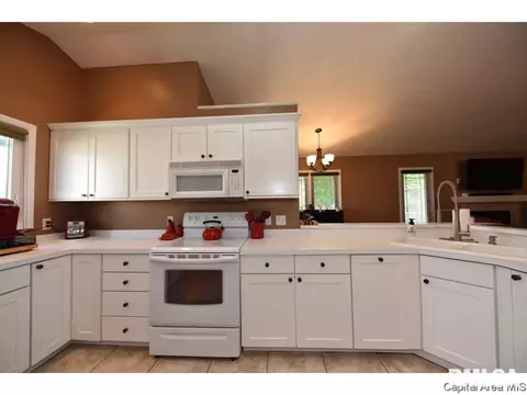 808 Chestnut Ct, Chatham, IL 62629 photo 13