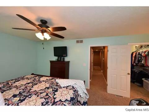 808 Chestnut Ct, Chatham, IL 62629 photo 23