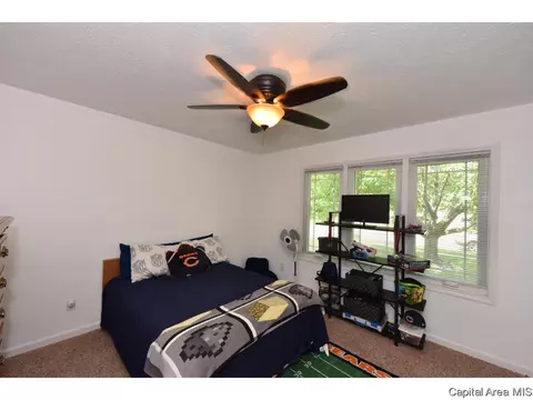 808 Chestnut Ct, Chatham, IL 62629 photo 27