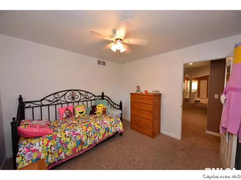 808 Chestnut Ct, Chatham, IL 62629 photo 25