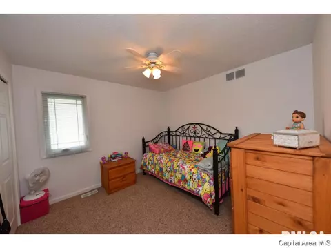 808 Chestnut Ct, Chatham, IL 62629 photo 24