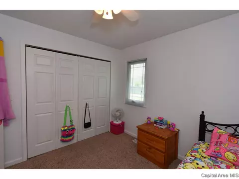 808 Chestnut Ct, Chatham, IL 62629 photo 26