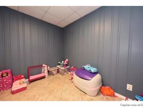808 Chestnut Ct, Chatham, IL 62629 photo 34