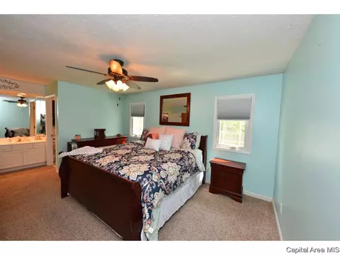 808 Chestnut Ct, Chatham, IL 62629 photo 20