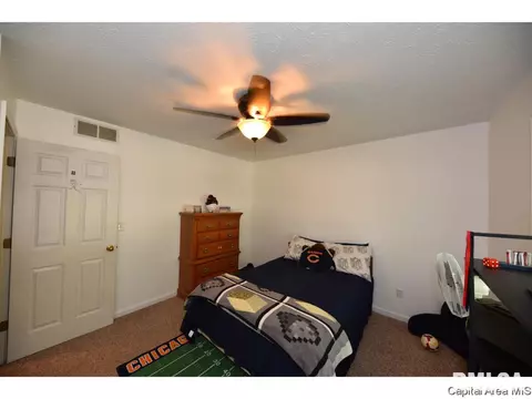 808 Chestnut Ct, Chatham, IL 62629 photo 28