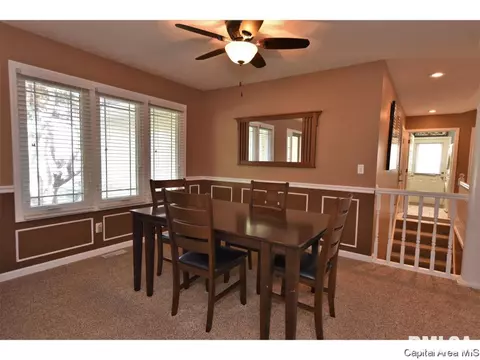 808 Chestnut Ct, Chatham, IL 62629 photo 11
