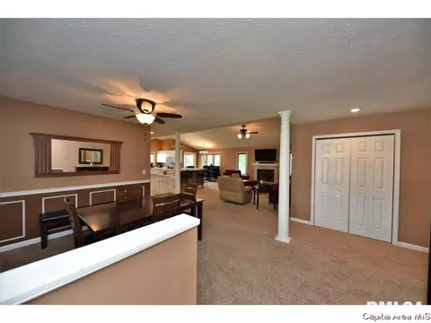 808 Chestnut Ct, Chatham, IL 62629 photo 10