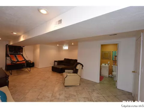 808 Chestnut Ct, Chatham, IL 62629 photo 32
