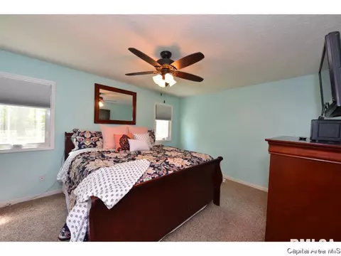 808 Chestnut Ct, Chatham, IL 62629 photo 19