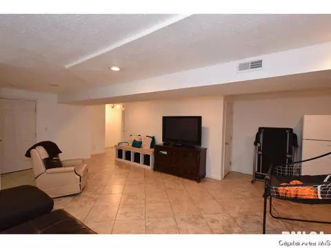 808 Chestnut Ct, Chatham, IL 62629 photo 30